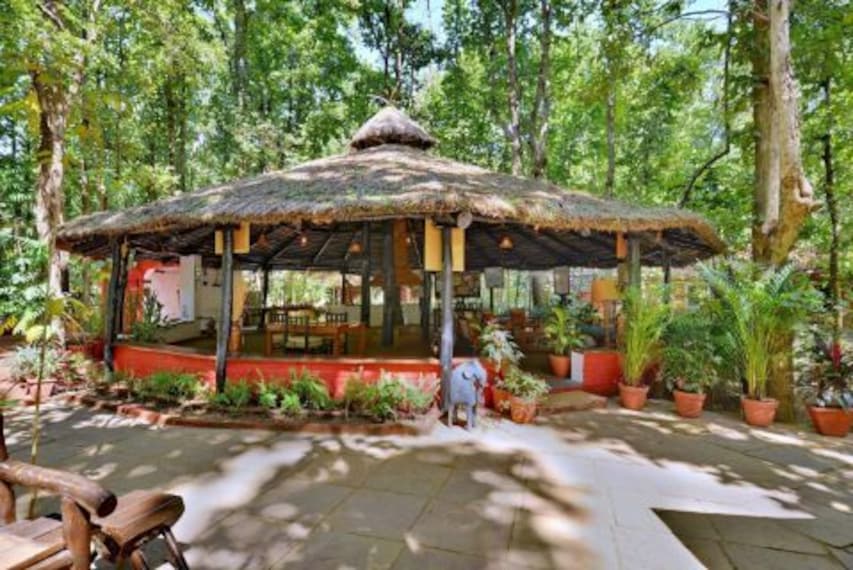 Kanha Jungle Lodge